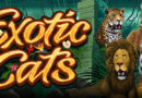 Exotic Cats